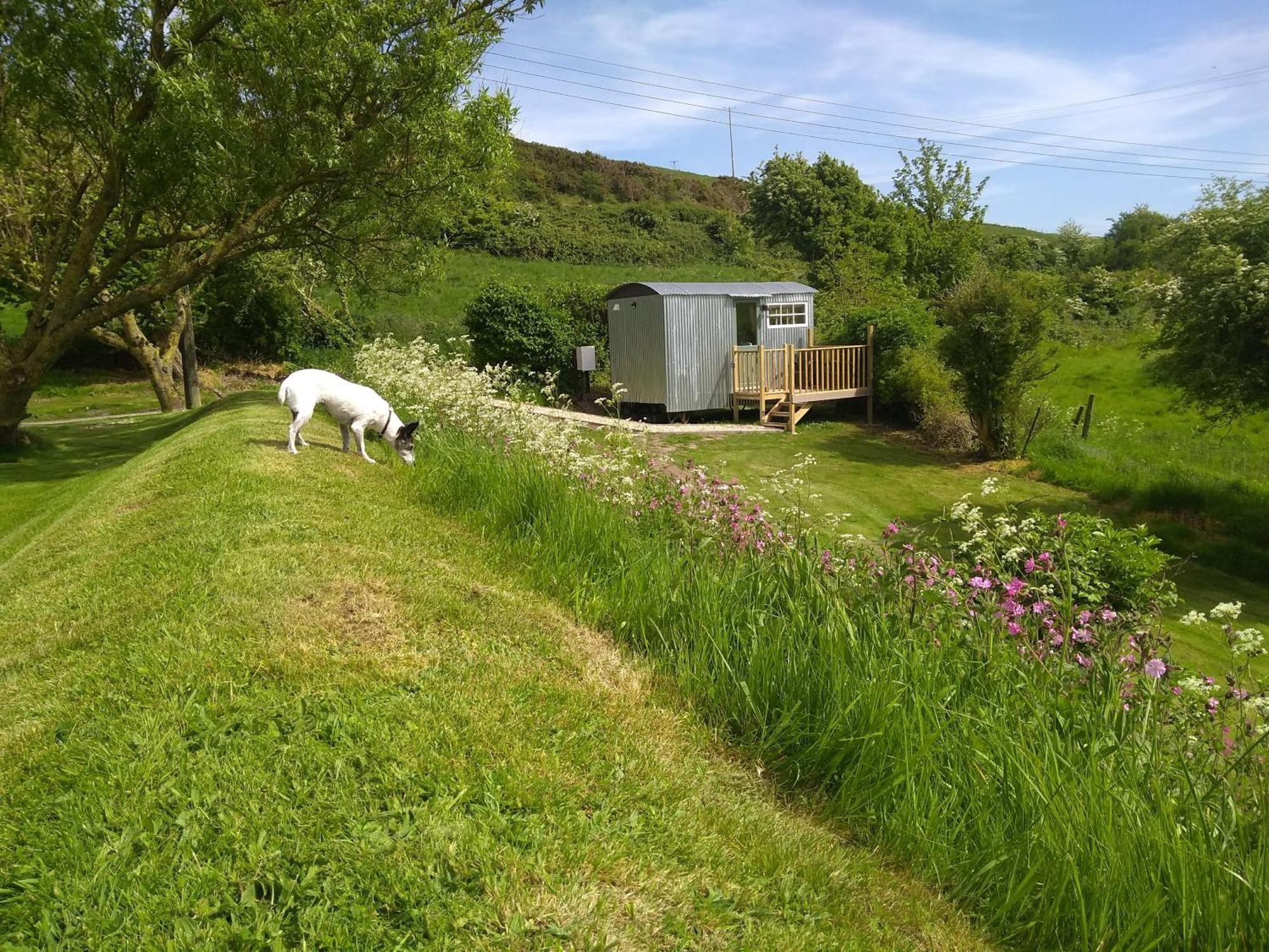 Shepherds Hut 韦茅斯 外观 照片